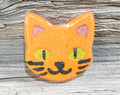 Cat Foaming Bath Bomb