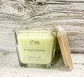 Eucalyptus Spearmint Candle (9.5 oz)
